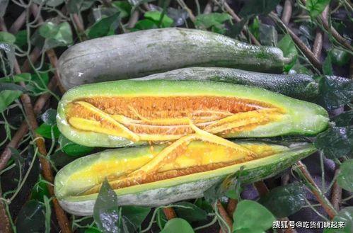 网红张奕凡吃瓜,揭秘娱乐圈幕后真相  第1张